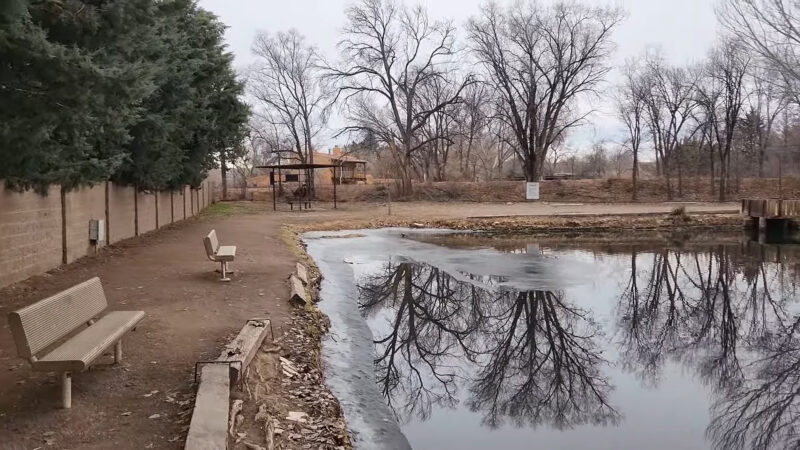 Liam Knight Pond in Corrales - best fishing spots